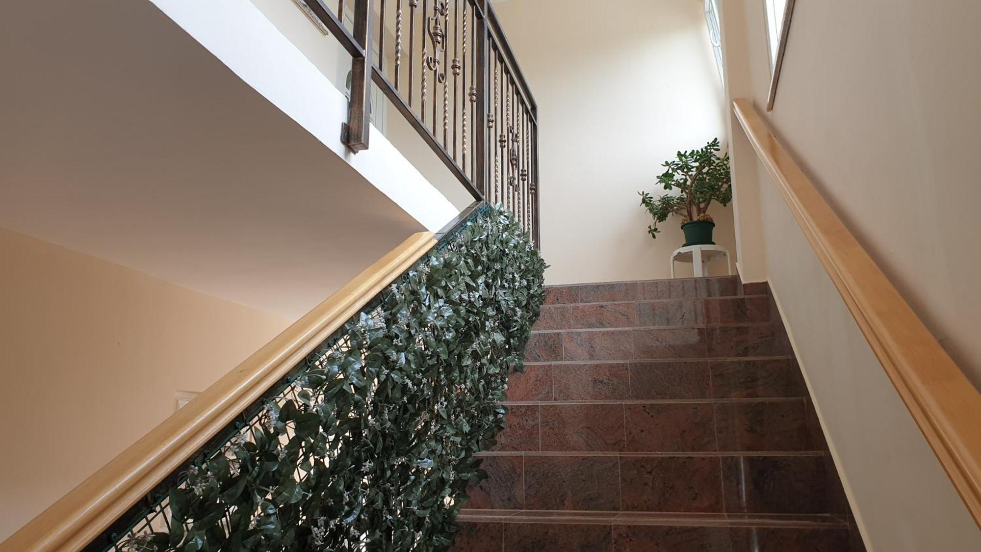 Back To Nature - Apartment Borodin Stranici kod Lovreca 외부 사진